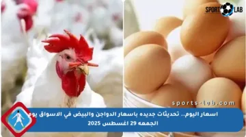 أسعار اليوم.. تحديثات جديدة بأسعار الدواجن والبيض في الأسواق يوم الجمعة 29 أغسطس 2025